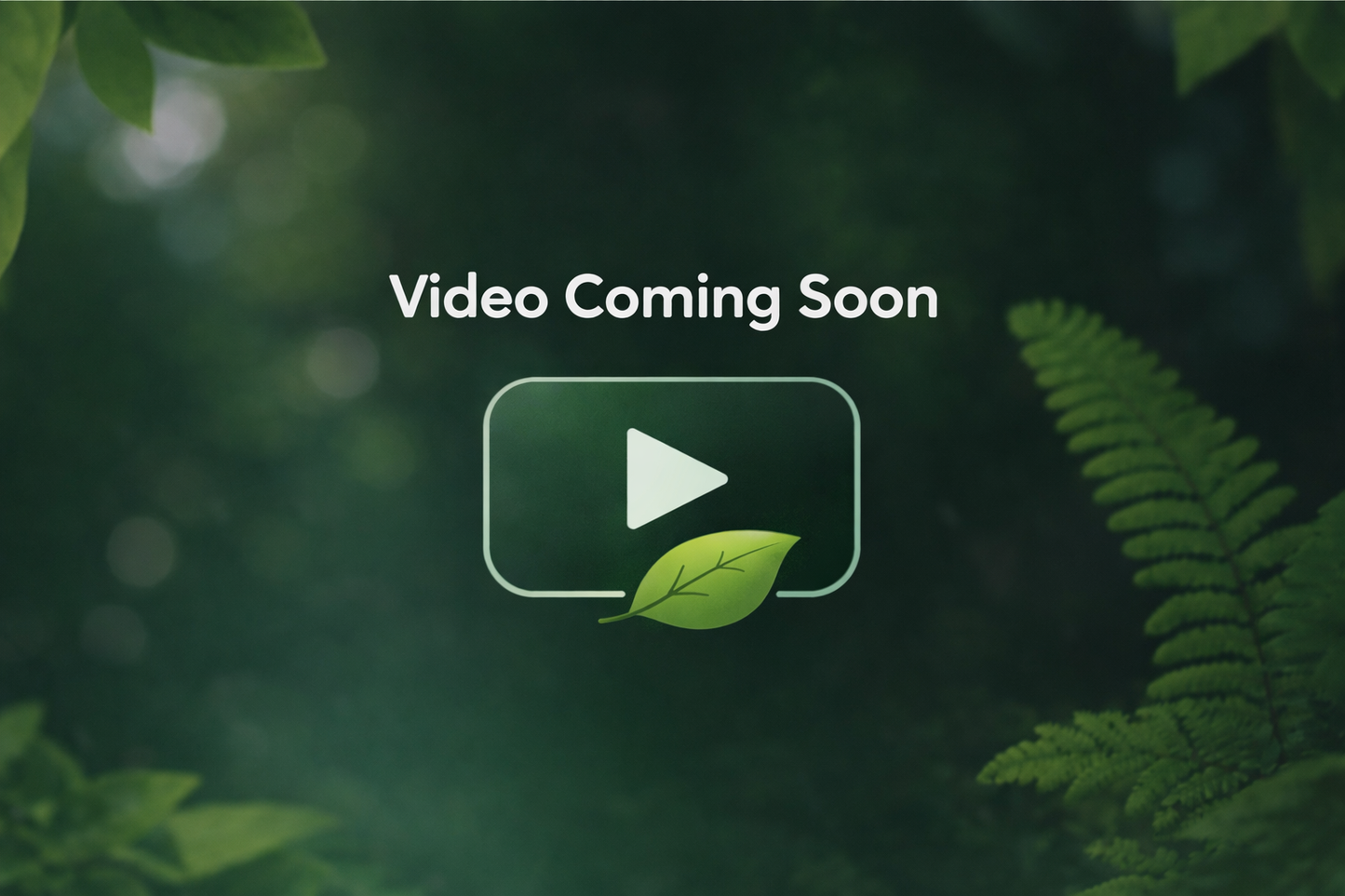 How to use our clay masks