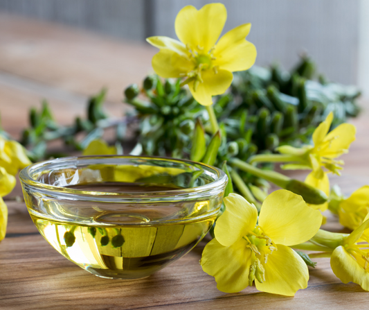 The Unexpected Skin Benefits of Evening Primrose Oil