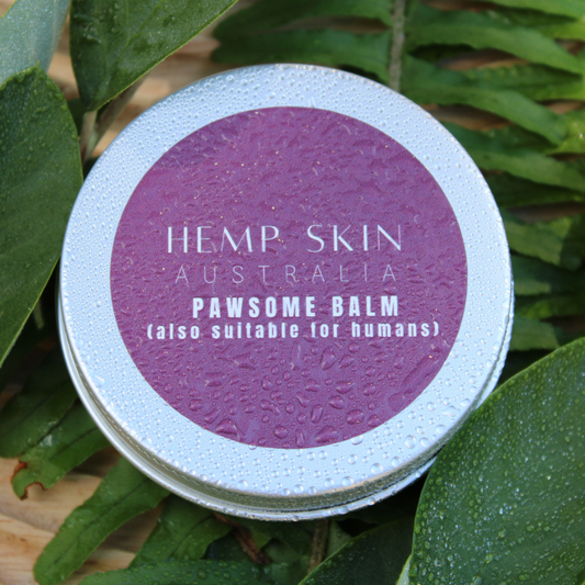 Pawsome balm, multi purpose balm that is dog and human safe 